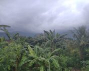 Regenzeit in Bali