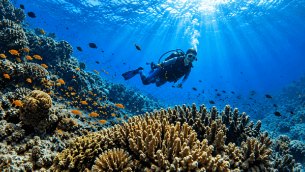 Tauchen in Bali – faszinierende Unterwasserwelt
